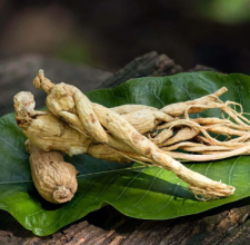 Panax Ginseng Glyco Harmony ingredient